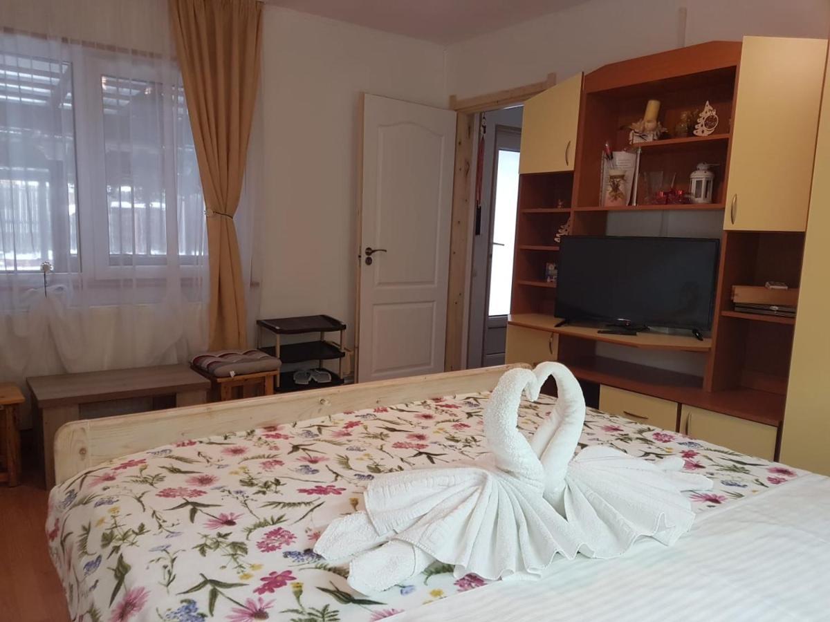 Casa Farcas بوستين المظهر الخارجي الصورة