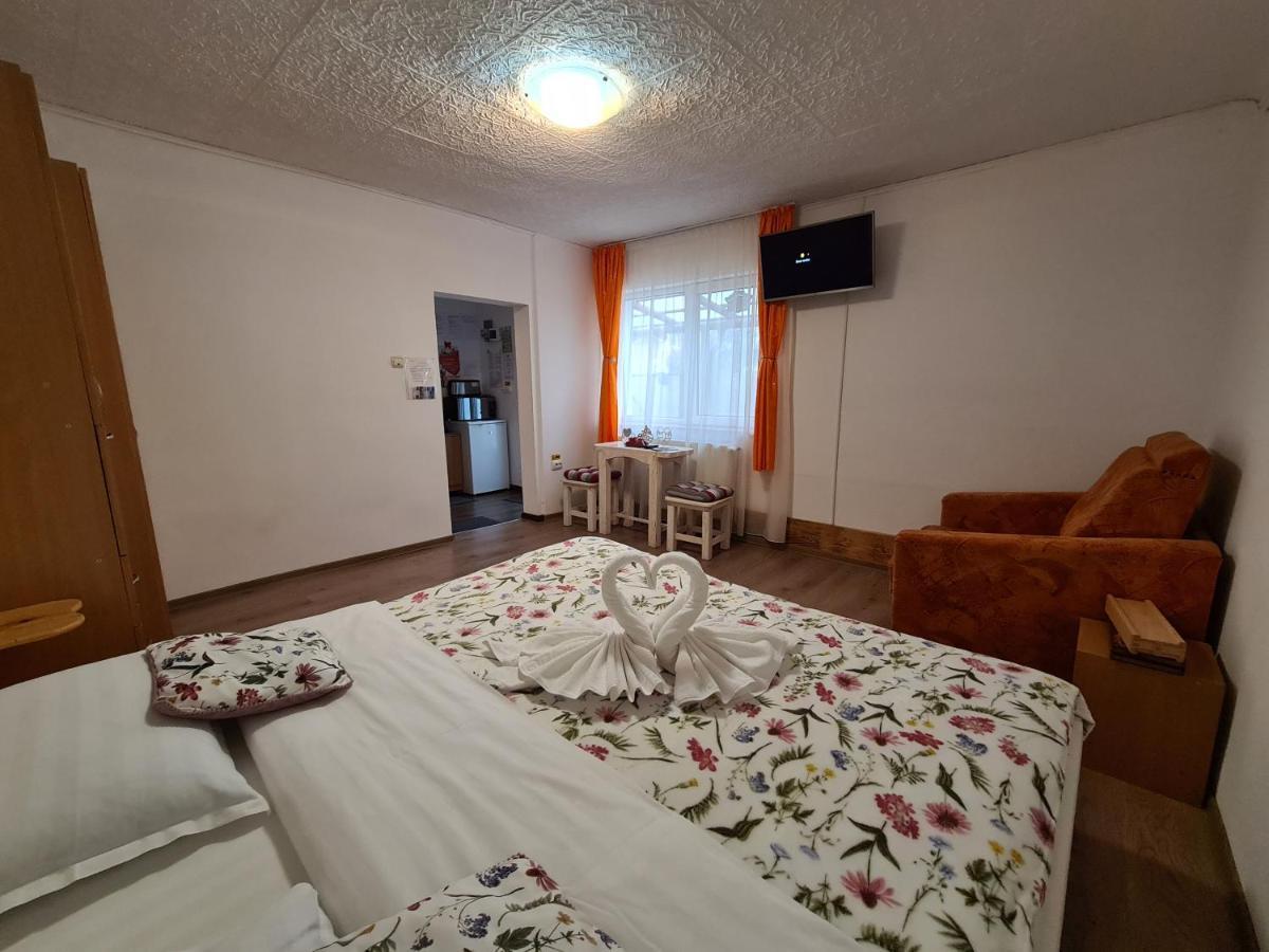 Casa Farcas بوستين المظهر الخارجي الصورة