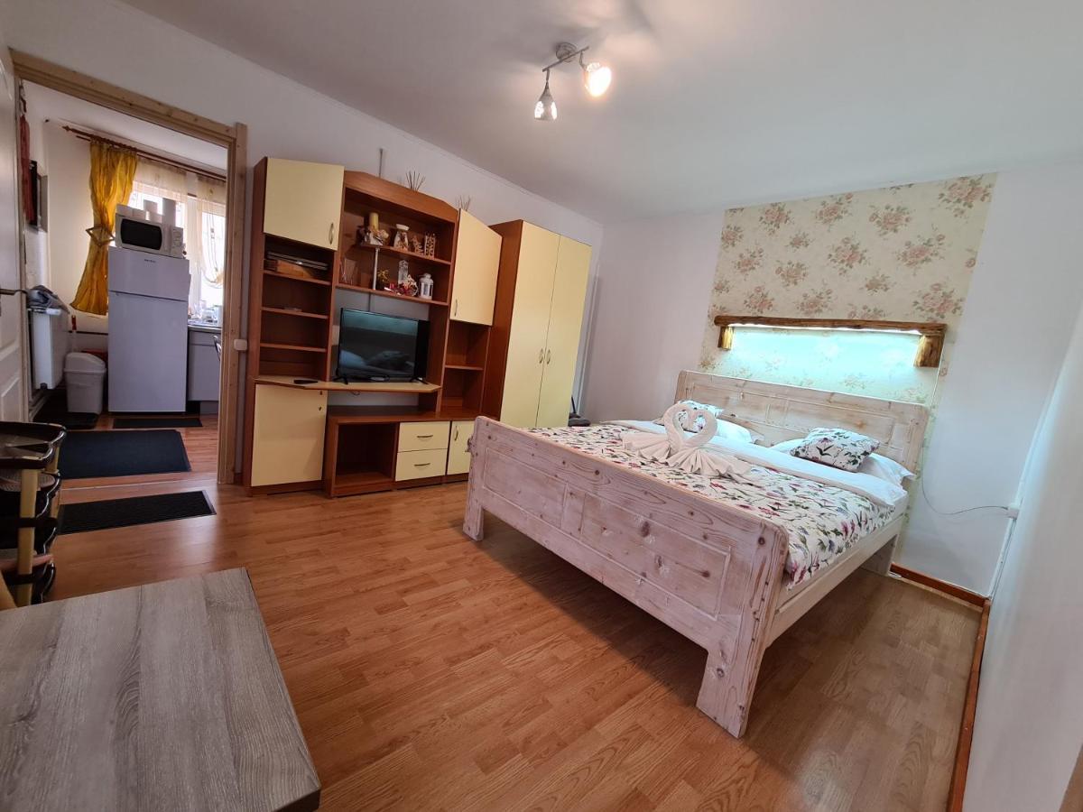 Casa Farcas بوستين المظهر الخارجي الصورة