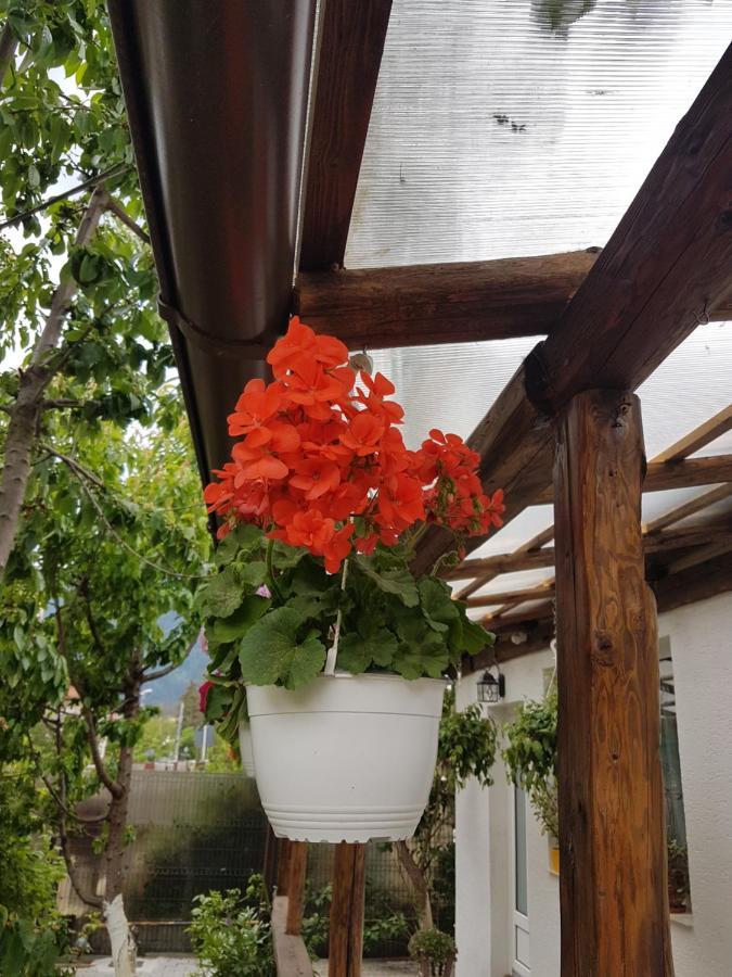 Casa Farcas بوستين المظهر الخارجي الصورة