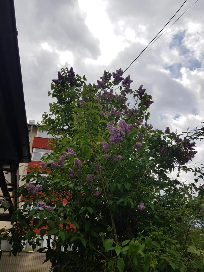 Casa Farcas بوستين المظهر الخارجي الصورة